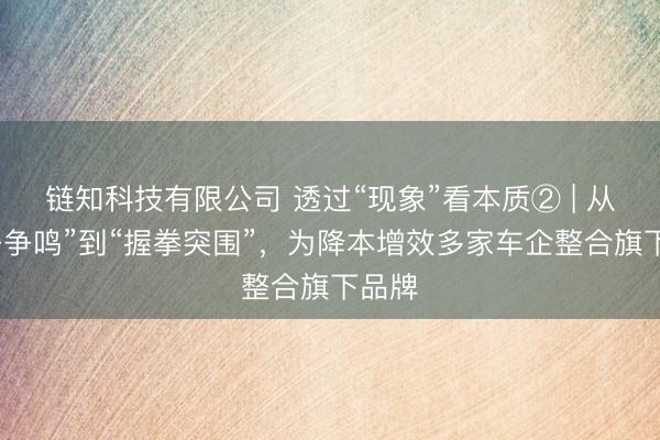 链知科技有限公司 透过“现象”看本质② | 从“多子争鸣”到“握拳突围”，为降本增效多家车企整合旗下品牌