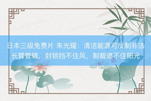 日本三级免费片 朱光耀：清洁能源可反制非法长臂管辖，封锁挡不住风，制裁遮不住阳光