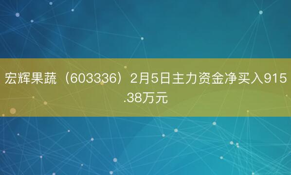 宏辉果蔬（603336）2月5日主力资金净买入915.38万元