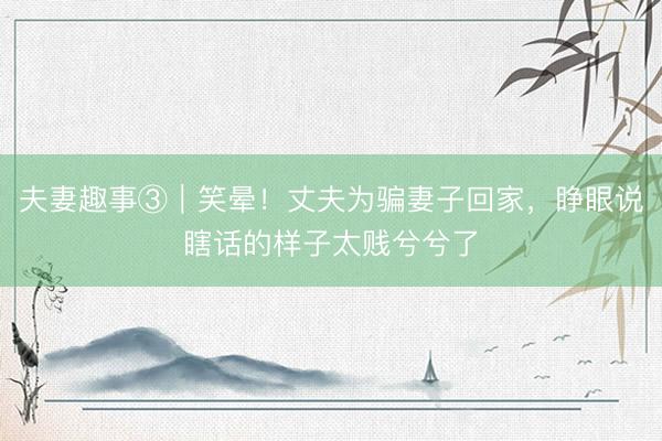 夫妻趣事③｜笑晕！丈夫为骗妻子回家，睁眼说瞎话的样子太贱兮兮了