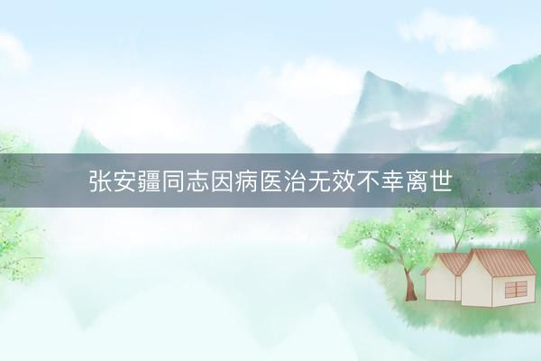 张安疆同志因病医治无效不幸离世
