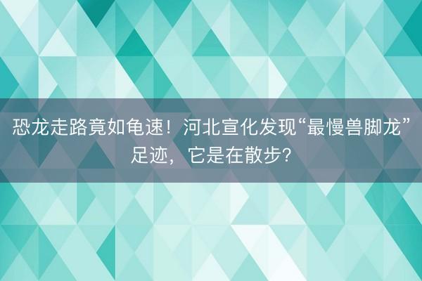 恐龙走路竟如龟速！河北宣化发现“最慢兽脚龙”足迹，它是在散步？