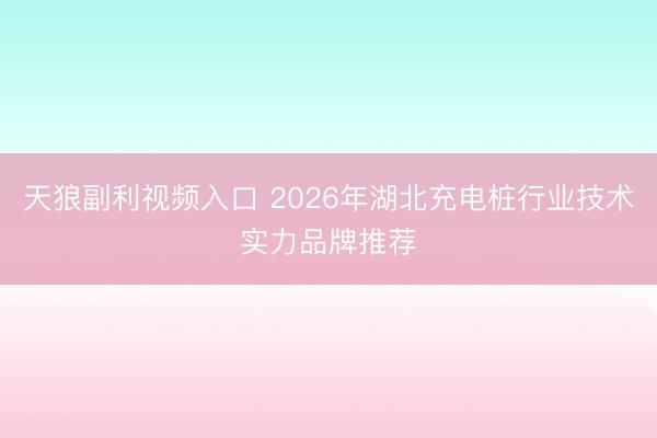 天狼副利视频入口 2026年湖北充电桩行业技术实力品牌推荐