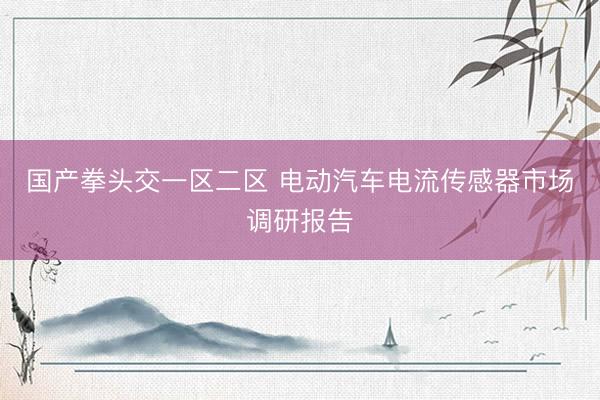 国产拳头交一区二区 电动汽车电流传感器市场调研报告