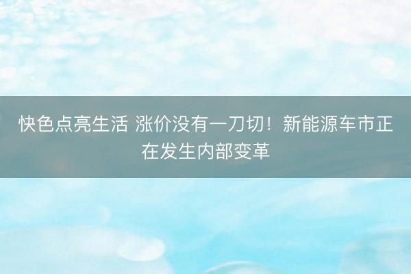 快色点亮生活 涨价没有一刀切！新能源车市正在发生内部变革