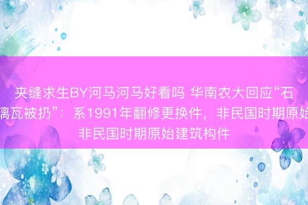 夹缝求生BY河马河马好看吗 华南农大回应“石牌旧址琉璃瓦被扔”：系1991年翻修更换件，非民国时期原始建筑构件