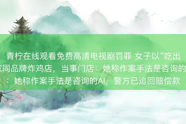 青柠在线观看免费高清电视剧罚罪 女子以“吃出铁丝”为由连续碰瓷3家同品牌炸鸡店，当事门店：她称作案手法是咨询的AI，警方已追回赔偿款