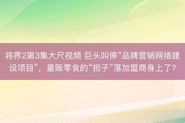将界2第3集大尺视频 巨头叫停“品牌营销网络建设项目”，量贩零食的“担子”落加盟商身上了？