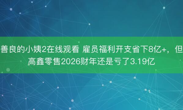 善良的小姨2在线观看 雇员福利开支省下8亿+，但高鑫零售2026财年还是亏了3.19亿