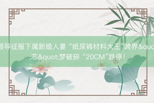 领导征服下属新婚人妻 “纸尿裤材料大王”跨界"芯"梦破碎 “20CM”跌停！