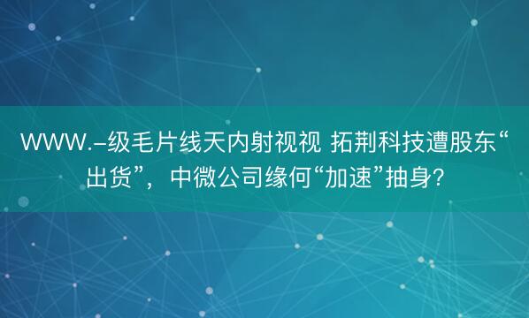 WWW.-级毛片线天内射视视 拓荆科技遭股东“出货”，中微公司缘何“加速”抽身？