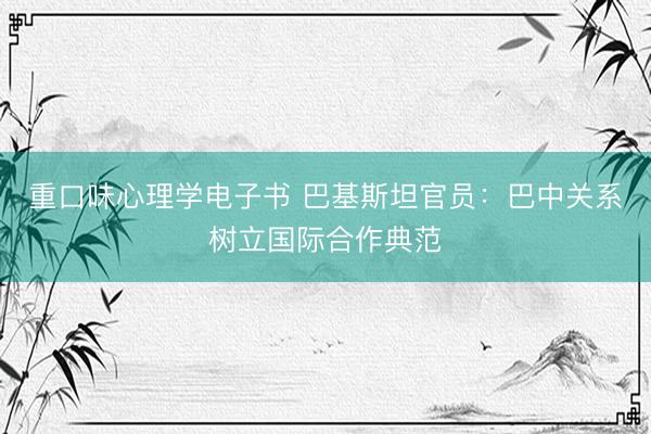 重口味心理学电子书 巴基斯坦官员：巴中关系树立国际合作典范