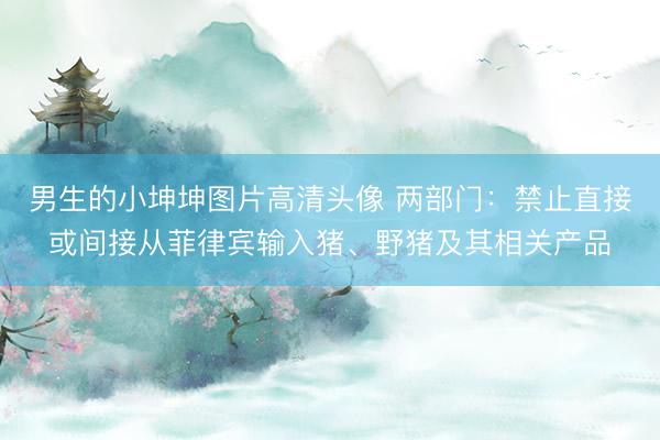 男生的小坤坤图片高清头像 两部门：禁止直接或间接从菲律宾输入猪、野猪及其相关产品