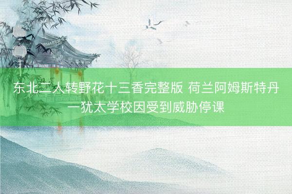 东北二人转野花十三香完整版 荷兰阿姆斯特丹一犹太学校因受到威胁停课