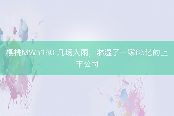 樱桃MW5180 几场大雨，淋湿了一家65亿的上市公司