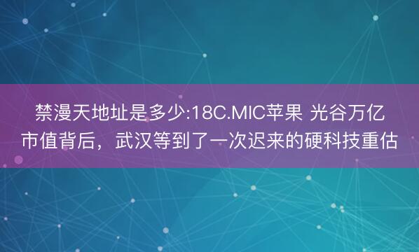 禁漫天地址是多少:18C.MIC苹果 光谷万亿市值背后，武汉等到了一次迟来的硬科技重估