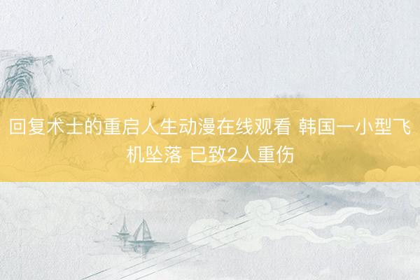 回复术士的重启人生动漫在线观看 韩国一小型飞机坠落 已致2人重伤