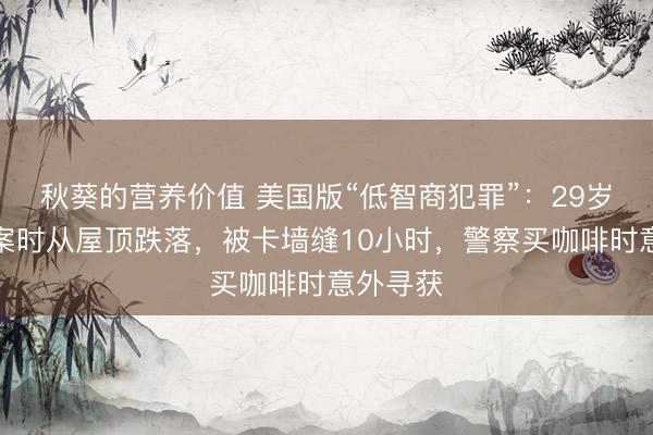 秋葵的营养价值 美国版“低智商犯罪”：29岁笨贼作案时从屋顶跌落，被卡墙缝10小时，警察买咖啡时意外寻获