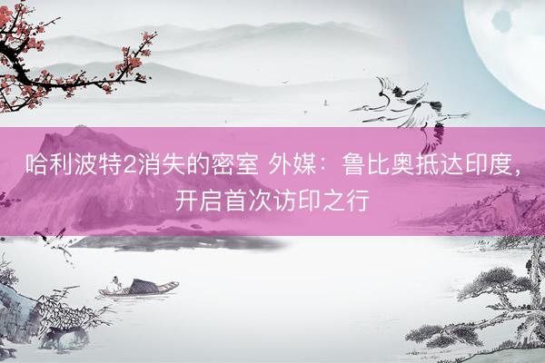 哈利波特2消失的密室 外媒：鲁比奥抵达印度，开启首次访印之行