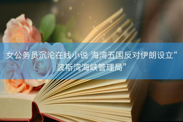 女公务员沉沦在线小说 海湾五国反对伊朗设立“波斯湾海峡管理局”