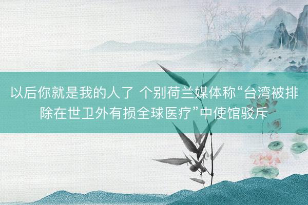 以后你就是我的人了 个别荷兰媒体称“台湾被排除在世卫外有损全球医疗”中使馆驳斥