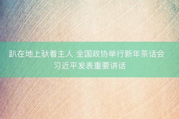 趴在地上驮着主人 全国政协举行新年茶话会  习近平发表重要讲话