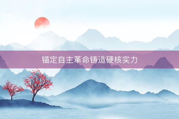 锚定自主革命铸造硬核实力