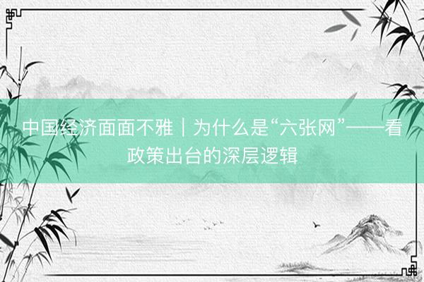 中国经济面面不雅｜为什么是“六张网”——看政策出台的深层逻辑