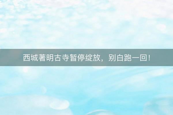 西城著明古寺暂停绽放,别白跑一回!