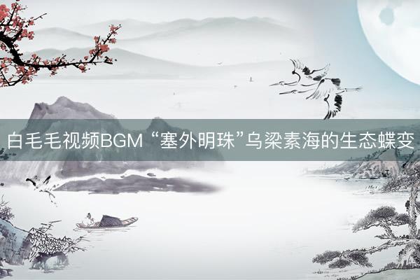白毛毛视频BGM “塞外明珠”乌梁素海的生态蝶变