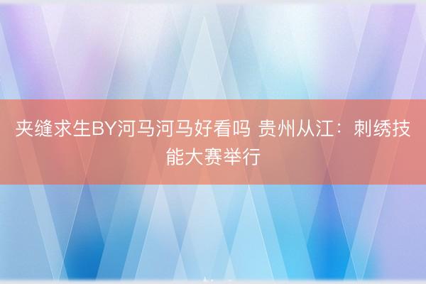 夹缝求生BY河马河马好看吗 贵州从江：刺绣技能大赛举行