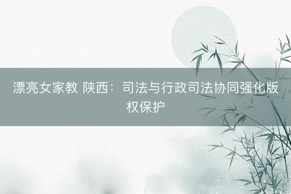 漂亮女家教 陕西：司法与行政司法协同强化版权保护