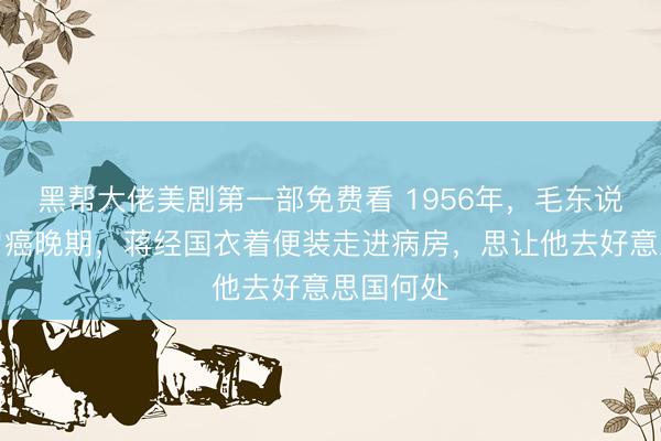 黑帮大佬美剧第一部免费看 1956年，毛东说念主凤胃癌晚期，蒋经国衣着便装走进病房，思让他去好意思国何处