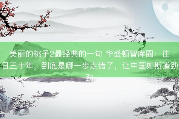 美丽的桃子2最经典的一句 华盛顿智库圈：往日三十年，到底是哪一步走错了，让中国如斯遒劲