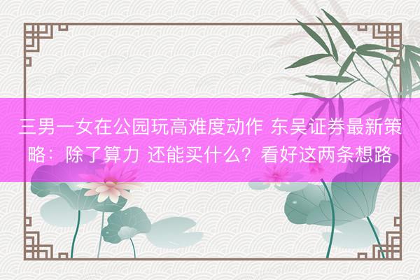 三男一女在公园玩高难度动作 东吴证券最新策略：除了算力 还能买什么？看好这两条想路