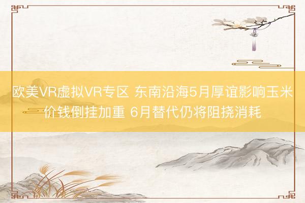 欧美VR虚拟VR专区 东南沿海5月厚谊影响玉米价钱倒挂加重 6月替代仍将阻挠消耗