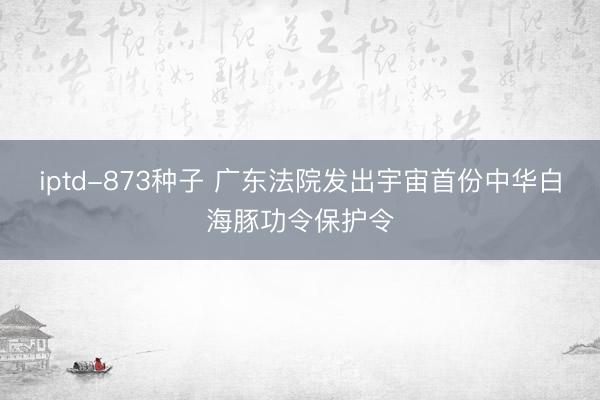 iptd-873种子 广东法院发出宇宙首份中华白海豚功令保护令
