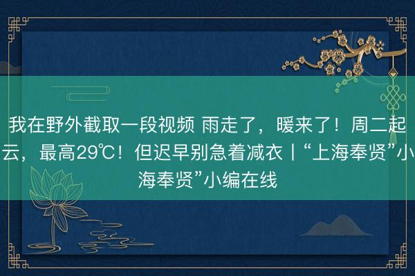 我在野外截取一段视频 雨走了,暖来了!周二起迷惑多云,最高29℃!但迟早别急着减衣丨“上海奉贤”小编在线