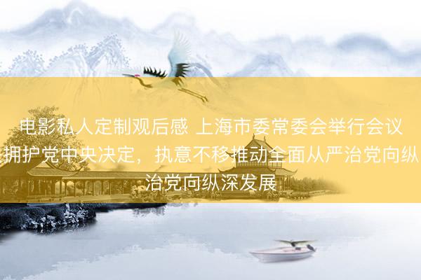 电影私人定制观后感 上海市委常委会举行会议：坚决拥护党中央决定，执意不移推动全面从严治党向纵深发展