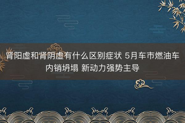 肾阳虚和肾阴虚有什么区别症状 5月车市燃油车内销坍塌 新动力强势主导