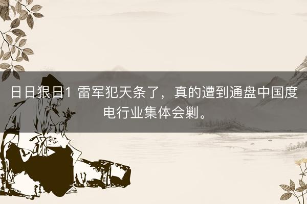 日日狠日1 雷军犯天条了，真的遭到通盘中国度电行业集体会剿。