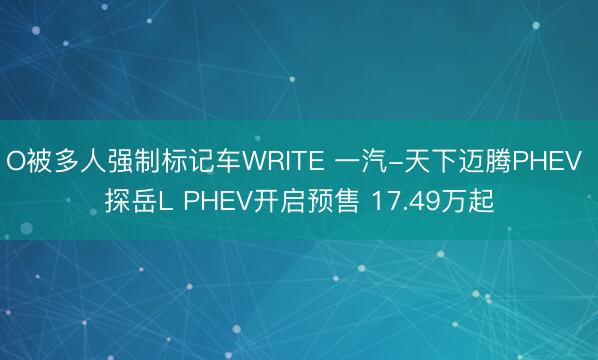O被多人强制标记车WRITE 一汽-天下迈腾PHEV 探岳L PHEV开启预售 17.49万起