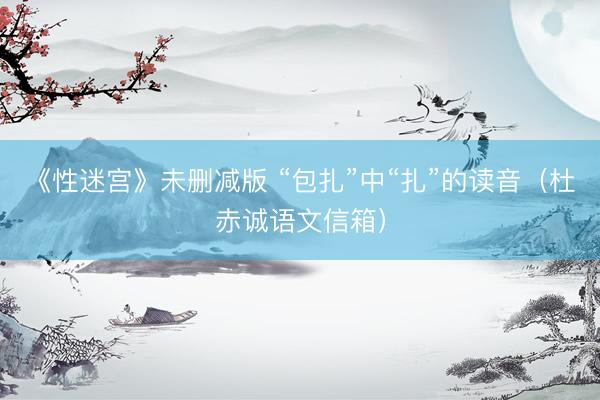 《性迷宫》未删减版 “包扎”中“扎”的读音(杜赤诚语文信箱)
